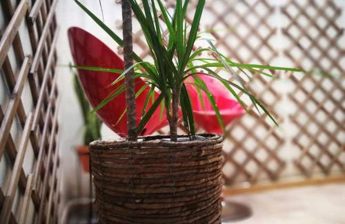 City center where Falla starts - Photo 5