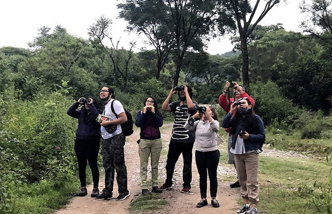 Warakusi Cottages - Off Road - Photo 26