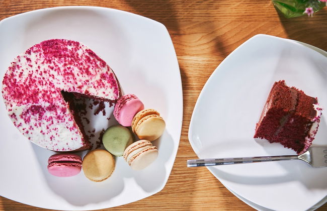 Swifts Return in Lower Ashton - Foto 49