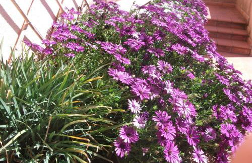 Casa Vacanze Valdicciola - Foto 36