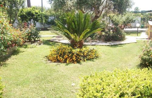 Il Giardino degli Ulivi - Foto 24