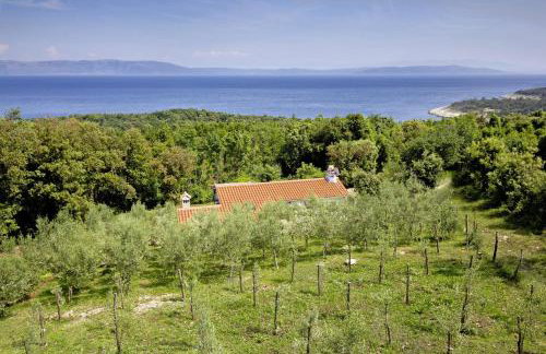 Roinizza in Prtlog (Haus für 4-5 Personen) - Foto 6