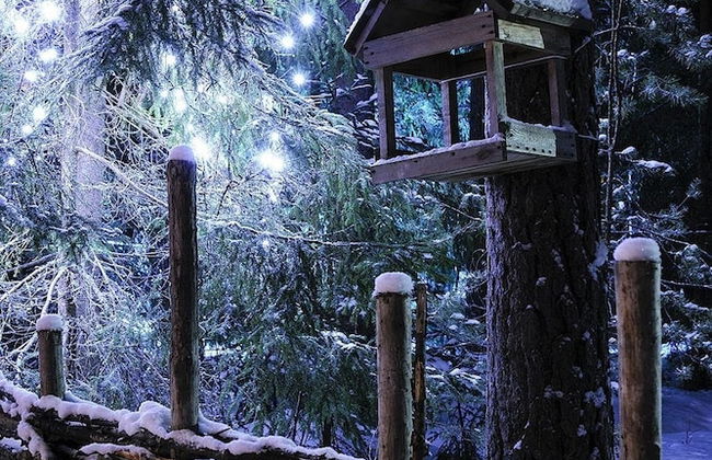 Shishki na Lampushke - Russkaya Derevnya - Foto 25