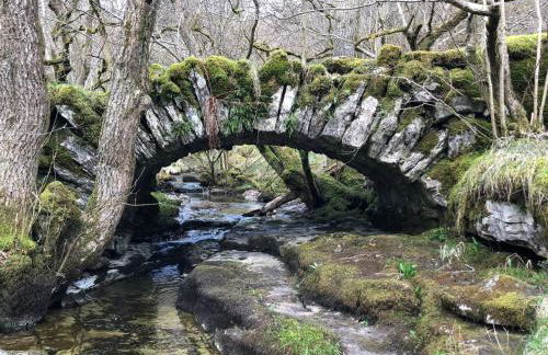 The Dale - Luxurious annexe with stunning view - Foto 24