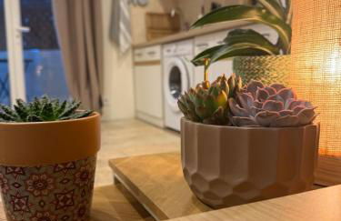 T2 à Saint-Aygulf - Foto 13