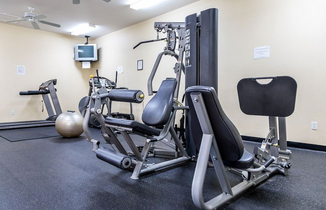 Celebrate at Club Cortile - Foto 19