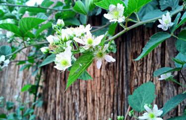 La Fremille T2 - 1br - 400m gare Versailles Paris - Piscine Terrasse Parking - Foto 25