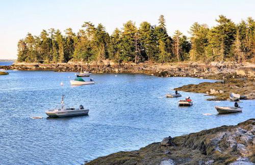 Hidden Gem Cottage Near Blue Hill Peninsula - Foto 33