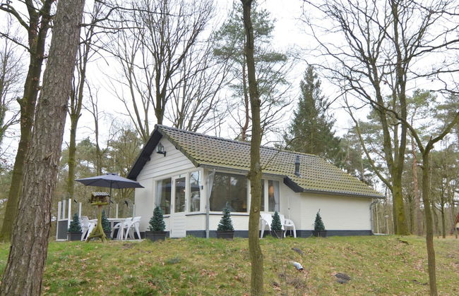 Holiday Home in Stramproy Near Nature Reserves - Foto 1