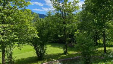 Ferienwohnungen Zipflwirt - Foto 5, Garden