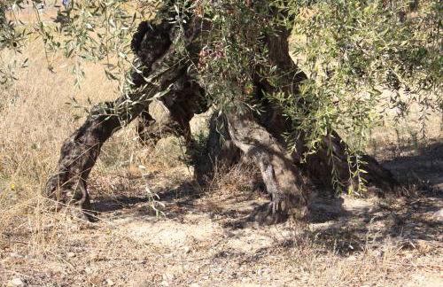 Vistas al mar - Foto 32