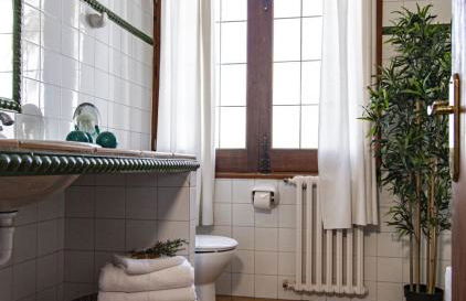 León de Sineu - Foto 13