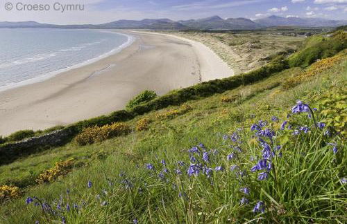 2 Bed in Barmouth oc-bow52 - Foto 27