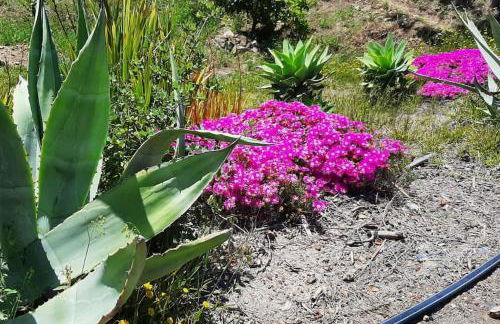 Casa de Celebrar a Vida - Foto 40