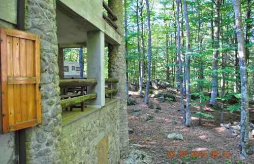 Casa nel bosco alle Macinaie - Foto 11