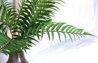 IRIS' Garden Retreat - Foto 57