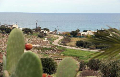 Little Blue - Photo 24