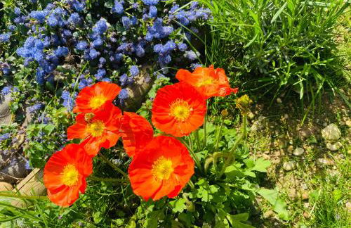 Le Saint Marin - Foto 26