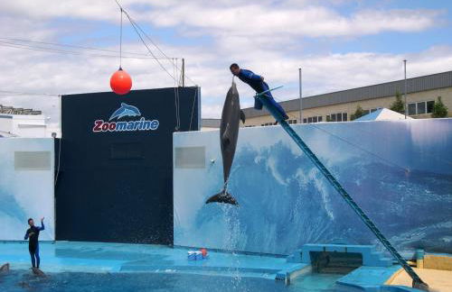 VILLA EBER - independent 1 & 2 bedroom apartments, pool, air con, fast Wi-Fi, near old town of Albufeira and beaches - Foto 59