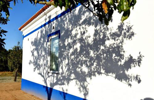 Monte Casa Branca - Foto 13