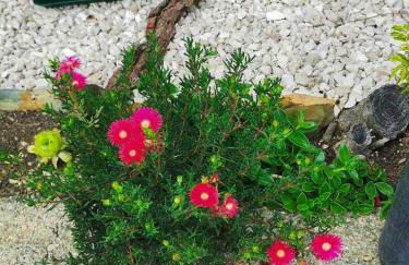 O Refúgio - Foto 57