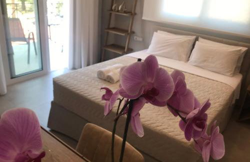 Dokos D Studios - Foto 5