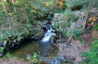 Bel appartement dans une ferme Vosgienne - Foto 30