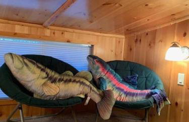 Knotty but Nice-sleeps 6-one minute to lake! - Foto 22