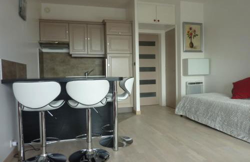 Grand Studio Avec Piscine Presqu'île De Giens - Foto 14