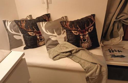 Attico delle Dolomiti - Foto 10