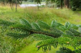 Łabądkowo - Foto 59