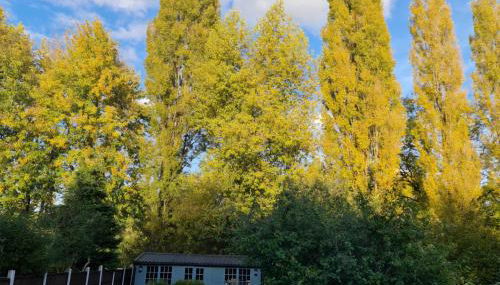 Stunning property with Summer house - Foto 2, Garden, Garden view