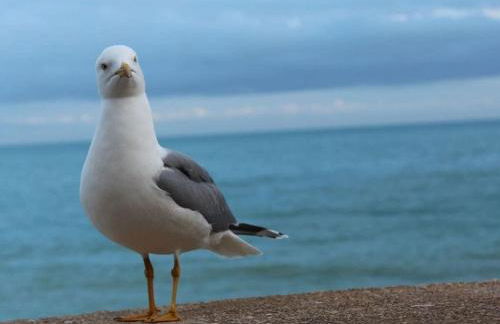 Casa Geminis I Comfortable holiday residence - Photo 40