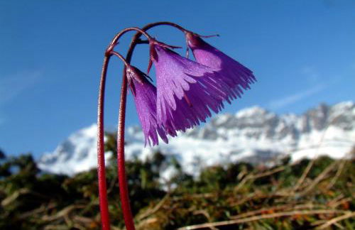 Agriturismo Raethia - Foto 55