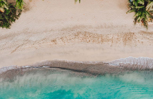 Costa Esmeralda & Punta de la Finca Beaches Horse Ride - Foto 1