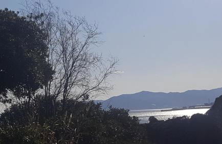 Casa Stella Marina - Foto 31