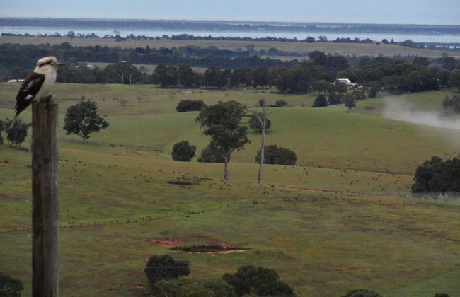 Down to Earth Farm Retreat - Foto 41