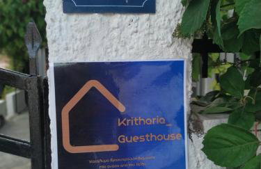 Kritharia Guesthouse Volos - Foto 26