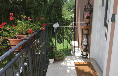 Middle Istra - Foto 4