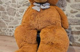 La Fontaine gîte de charme à 12min du Puy duFou - Photo 32