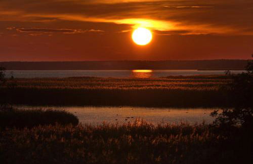 Ferienhaus Tura - Foto 46