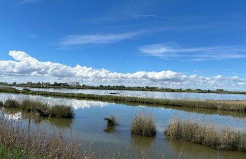 Casa Pomposa - Photo 19