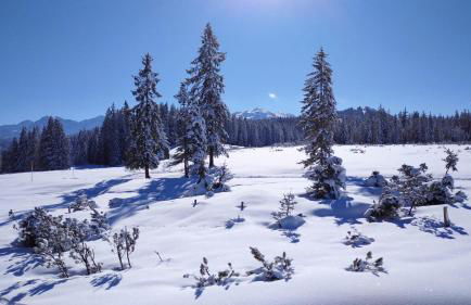 Wellnessoase mit Sauna und Whirlpool - Foto 49