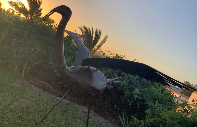 Villa Kamil - Foto 17