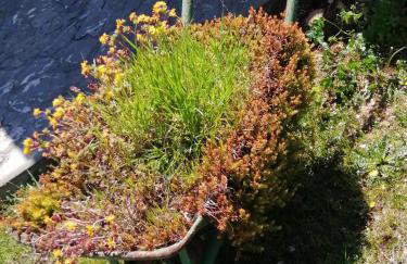 Apartman Luis Silence - Foto 16