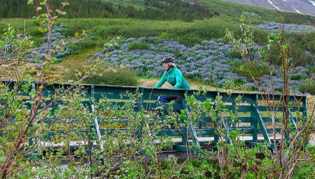 Tour de bicicleta pelos Westfjords