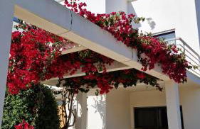 Beachfront house,Manta Rota,Algarve - Foto 72