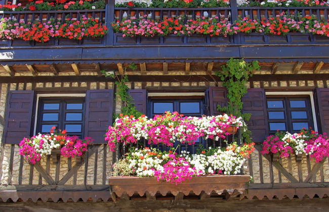 Tour in La Alberca - Foto 2