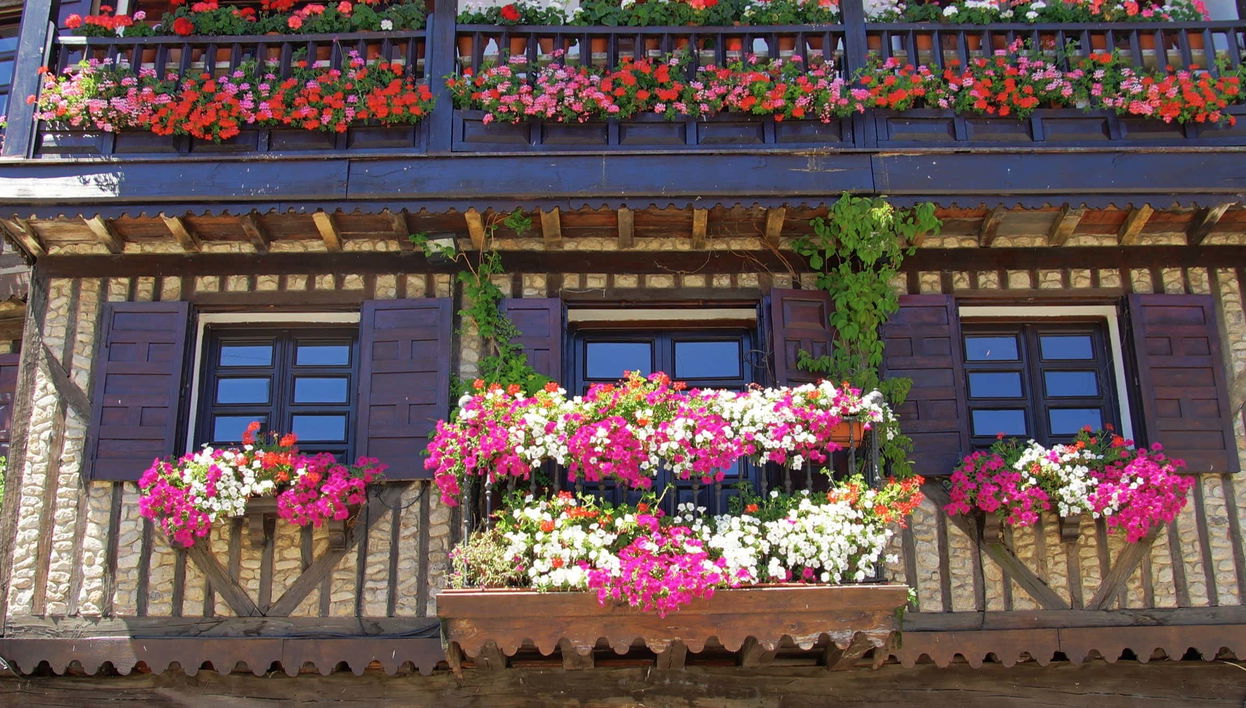 Free tour dans La Alberca