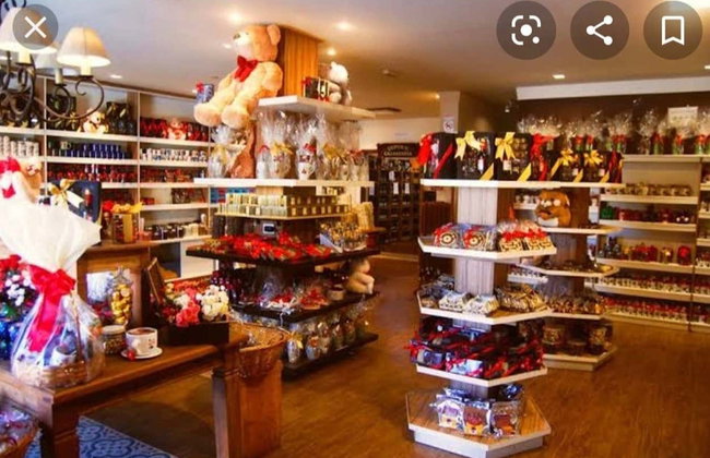 Tour panorámico por Campos do Jordão + Parque Amantikir - Foto 8